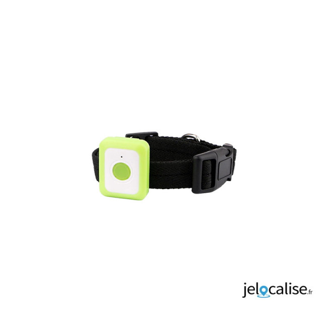 balise gps pour chien