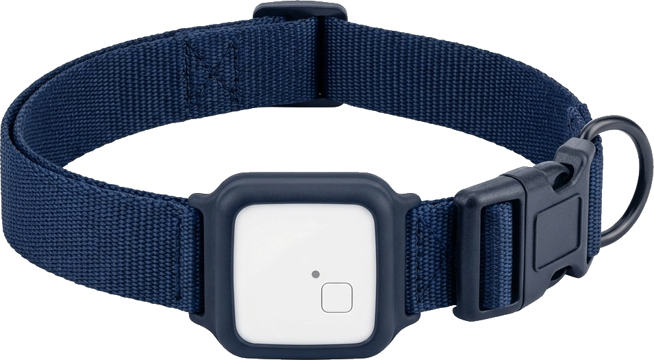 pet tracker for dogs