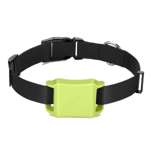 tracker gps chien