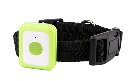 pet tracker for dogs