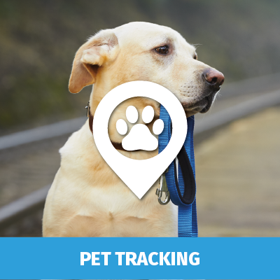 Pet tracking